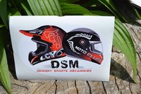 Adh&eacute;sif DSM 2017