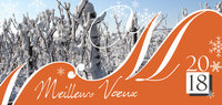 Cartes de v�ux 2018 - Recto