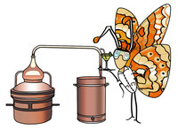 Mascotte & Ses d&eacute;clinaisons