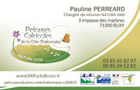 Carte de visite