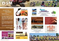 Brochure DSM 2017