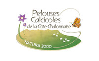 Logo " Pelouses Calcicoles de la Côte Chalonnaise "