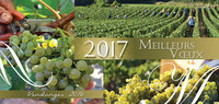 Cartes de v�ux 2017 - Recto