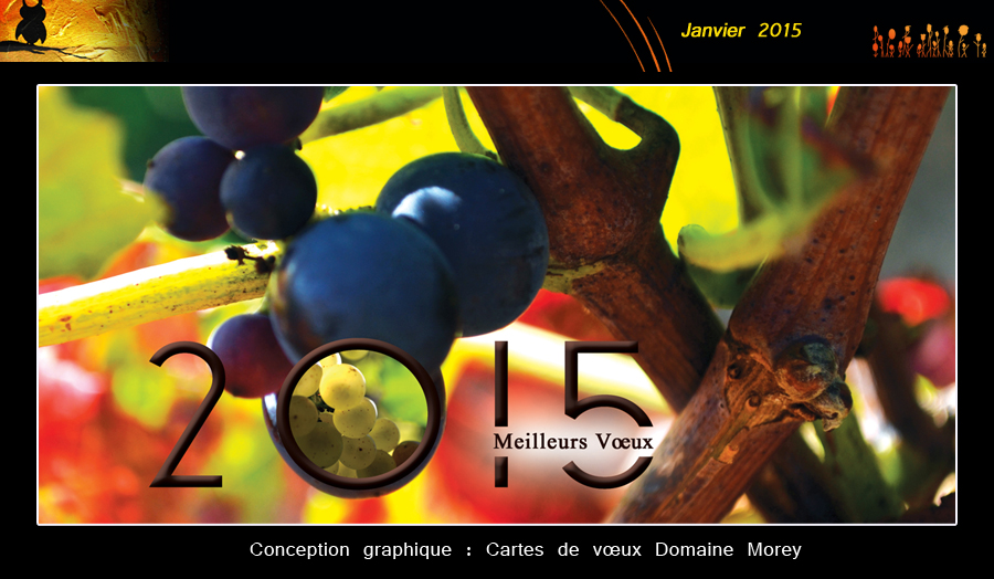 Accéder à : Conceptions Domaine Morey