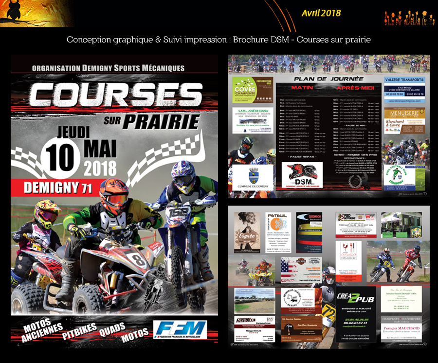 Brochure DSM - Courses sur prairie